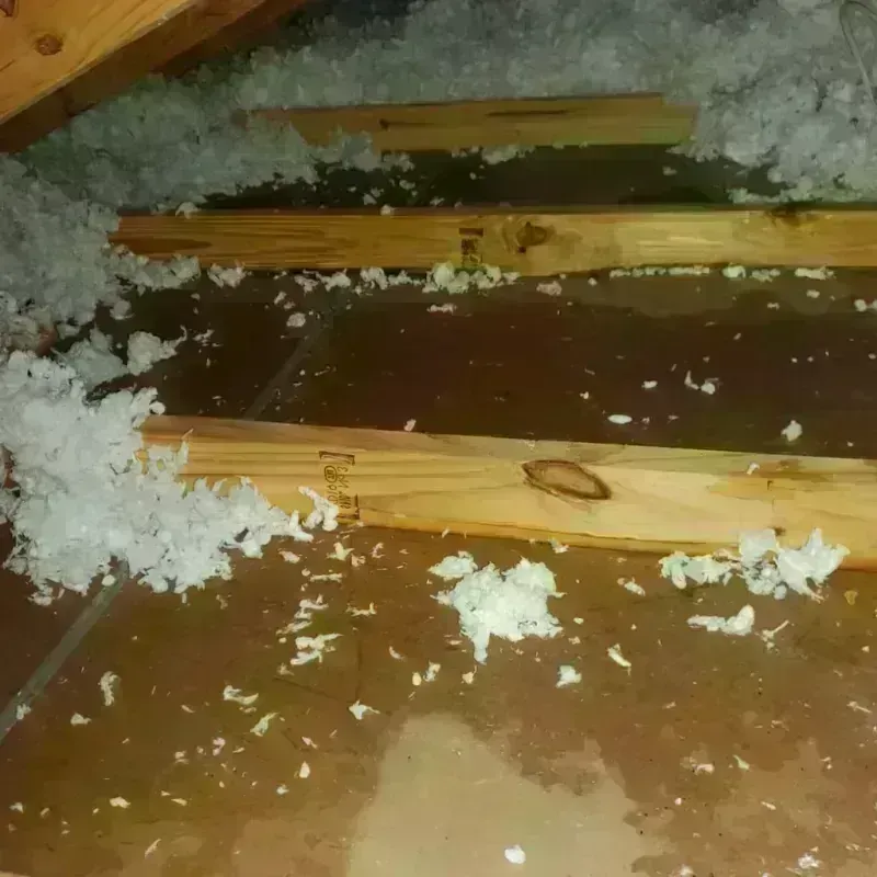 Attic Water Damage in Bristol, NH